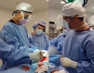 Dr. Bruno and Dr. Brown preforming Breast Implant Exchange
